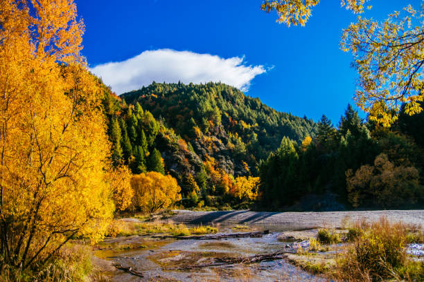 Arrow River in autumn